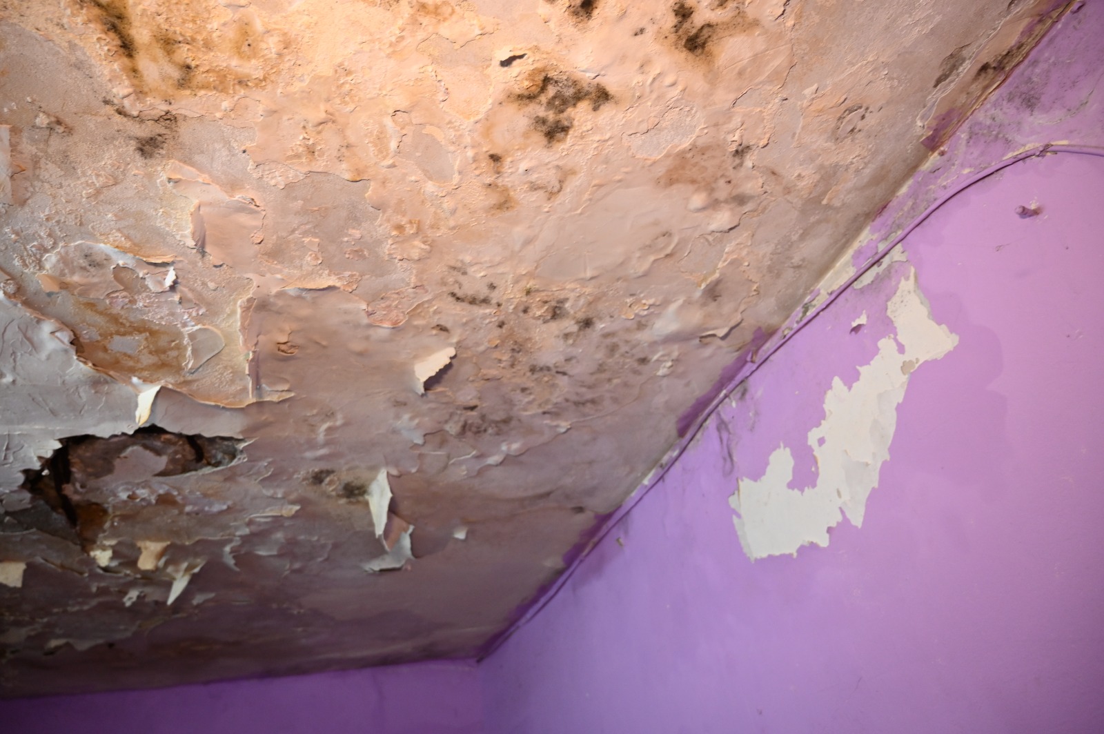 WhatsApp Image 2022-03-06 at 8.47.28 PM (2).jpeg